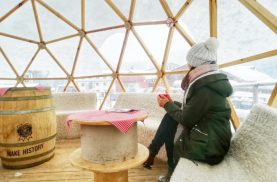 Igloo in the woods